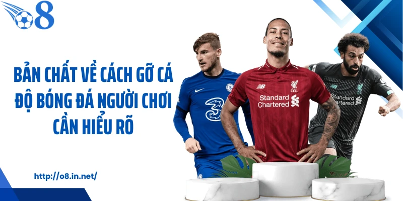 Bản chất về cách gỡ cá độ bóng đá người chơi cần hiểu rõ