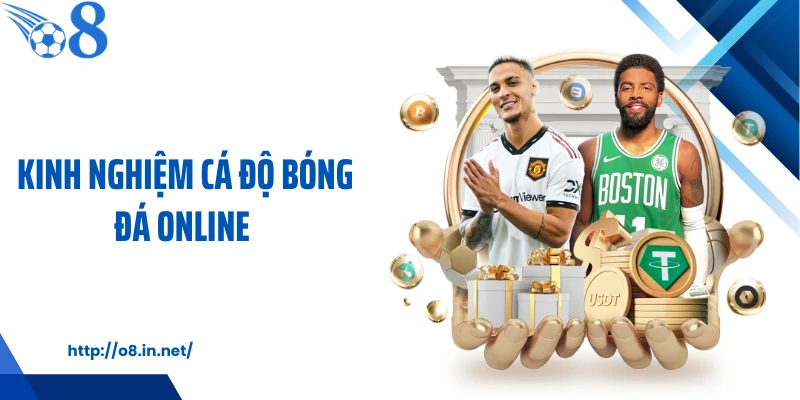 Kinh Nghiệm Cá Độ Bóng Đá Online Giúp Tối Ưu Hiệu Quả