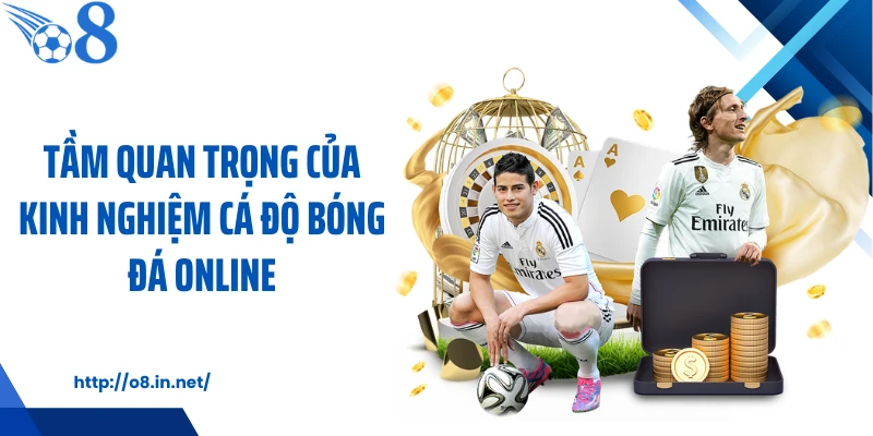 Tầm quan trọng của kinh nghiệm cá độ bóng đá online